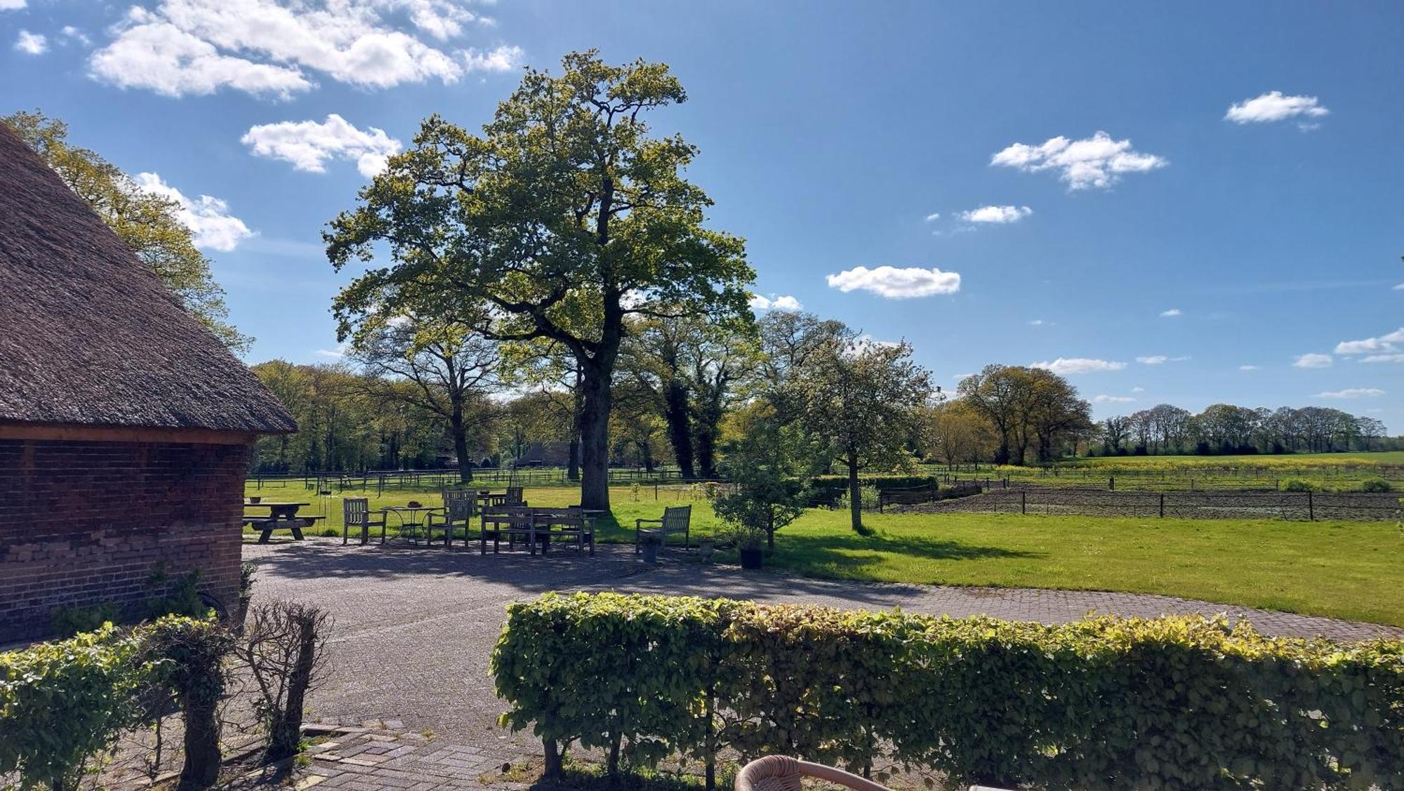 Havelterhoeve Exteriör bild