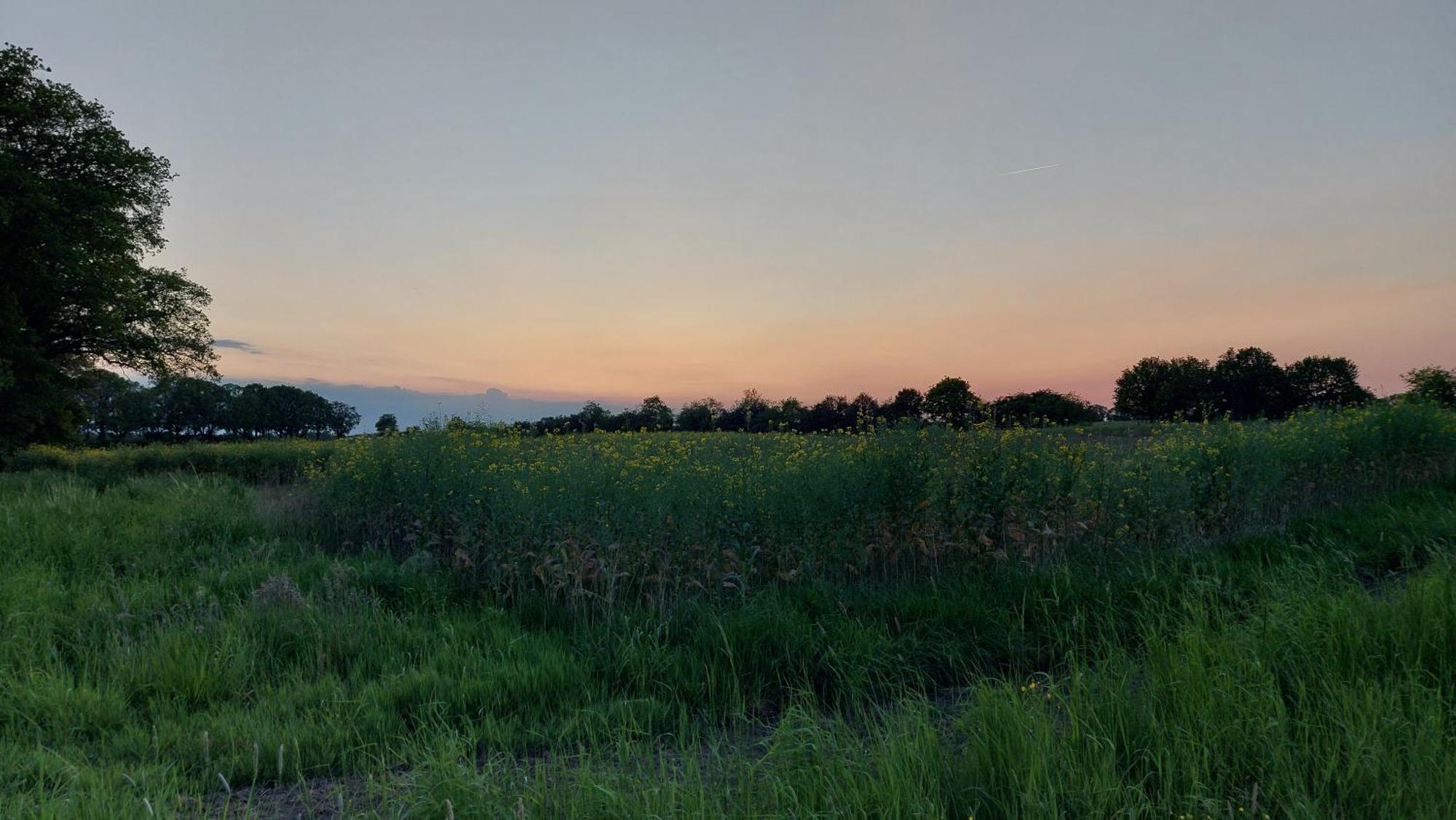 Havelterhoeve Exteriör bild